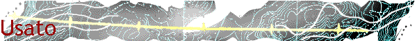 Usato