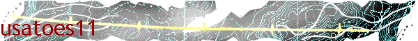 usatoes11
